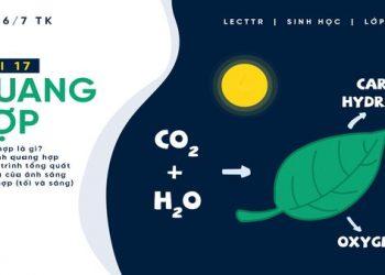 ĐẢNG BỘ HÀ TĨNH PHÁT HUY TINH THẦN CÁCH MẠNG CỦA ĐỒNG CHÍ TRẦN PHÚ ĐẨY MẠNH CÔNG TÁC ĐÀO TẠO, BỒI DƯỠNG LÝ LUẬN CHÍNH TRỊ CHO ĐỘI NGŨ CÁN BỘ, ĐẢNG VIÊN