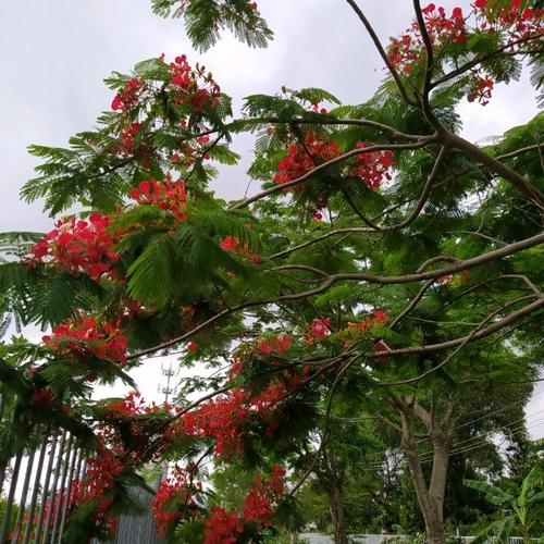 Nghiệm thu kết quả đề tài KHCN cấp Tỉnh “Nghiên cứu ảnh hưởng của việc khai thác Mỏ sắt Thạch Khê tới cộng đồng cư dân các xã ven biển huyện Thạch Hà và các vùng liên quan”